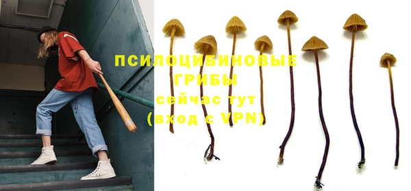 mdpv Лиски
