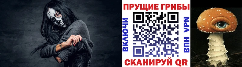 omg ссылки  Цимлянск  Псилоцибиновые грибы GOLDEN TEACHER 